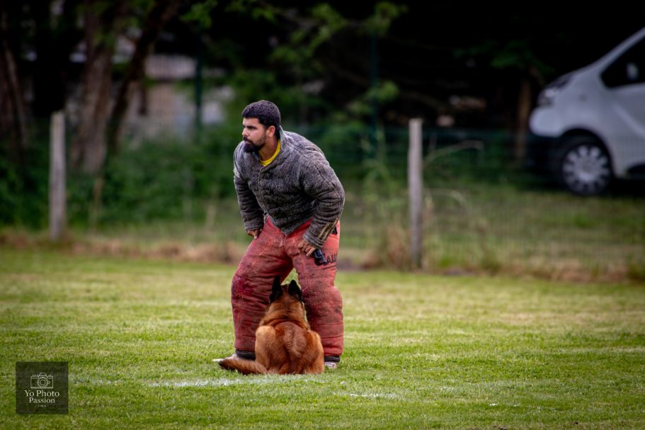 Un homme en tenue de travail interagit avec un chien sur un terrain gazonné.